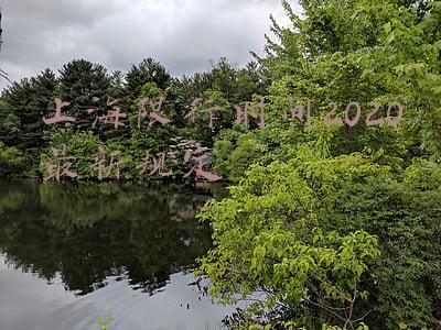 上海限行时间2020最新规定