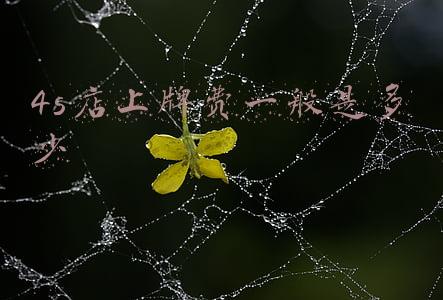 4s店上牌照多少钱 天津4s店上牌照多少钱