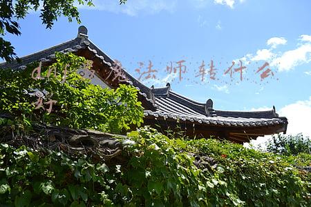 dnf2020男魔法师转职什么好(中医教你几个小动作，养生效果翻倍！尤其冬季在室内可以常练)