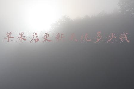 苹果店更新系统多少钱