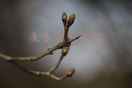 魔兽争霸改键