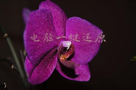 电脑一键还原后怎么恢复原来的文件(幸亏老婆是电脑高手，一键为我找回被替换保存修改了一天的文档)