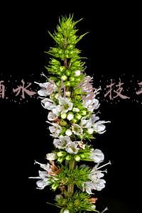 酒水销售技巧和话术大全(卖白酒销售技巧和话术，白酒推销技巧与话术)