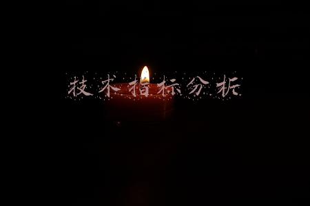 技术指标分析