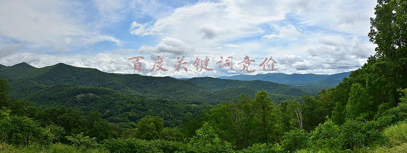 百度关键词竞价