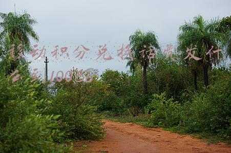 移动积分兑换话费发什么到10086福建(再不领就过期了！教你用积分免费兑换移动联通电信话费)