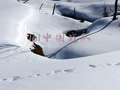 lol中国战队得过冠军吗(中国战队EDG击败韩国DK战队 首夺2021英雄联盟全球总决赛冠军)