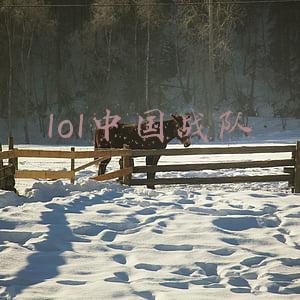 2021lol中国战队(中国战队EDG夺2021英雄联盟全球总决赛冠军)