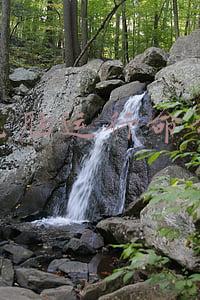 电脑运行命令怎么输入ip地址(如何查看电脑本机的IP地址)