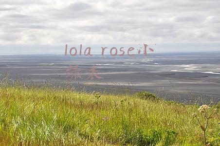 lola rose小绿表正品怎么鉴别(王妃都爱的LOLA ROSE，被问爆的全网断货王真的不是说说)