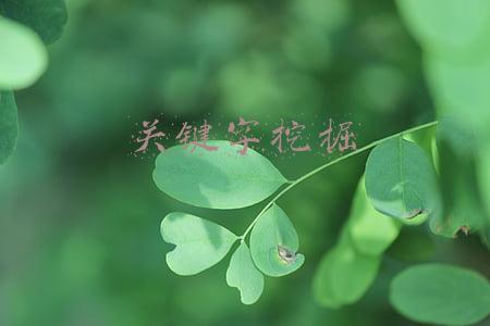 关键字挖掘