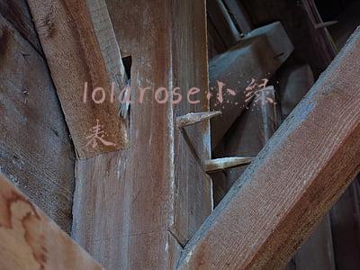 lolarose小绿表官网(提升穿衣质感！这件夏季搭配神器值得入手)