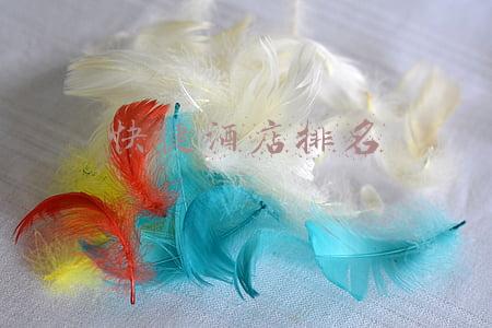 国内快捷酒店排名(首旅酒店聘任孙坚为总经理 现任如家酒店集团董事长)