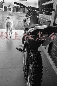 华硕主板怎么样