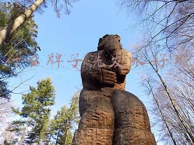 什么牌子洗发水好用