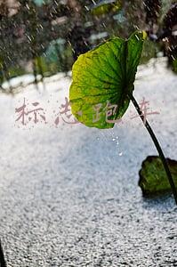标志跑车敞篷(配保时捷变速器，车主花38万买台敞篷标致，一年降6万直呼好开？)