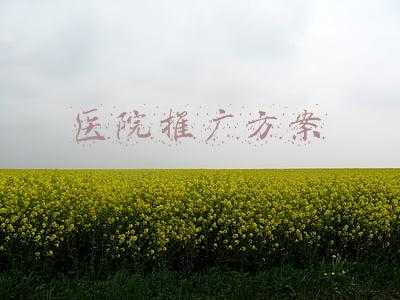 医院推广方案ppt(智慧医院智能化全套设计方案（几十处细节设计）完整版PPT)