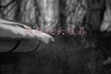 微距镜头推荐