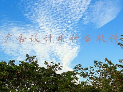 做广告设计用什么软件(别人家的设计师，推荐这些好用的设计软件)