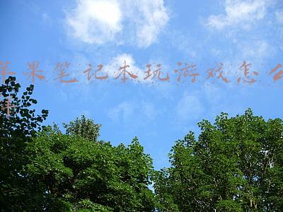 苹果笔记本玩游戏怎么样