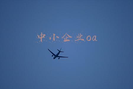 中小企业oa