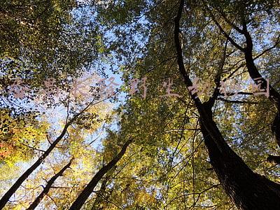番禺长隆野生动物园