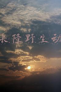 番禺长隆野生动物园