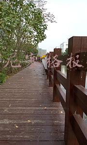 柯尼塞格最低价(柯尼塞格自行车，售价超过百万，比一般的宝马730还要贵)