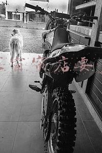 窗帘加盟店需要多少钱；如鱼得水窗帘加盟店需要多少钱
