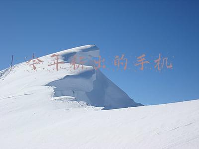 今年新出的手机