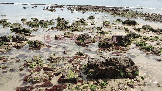 固态硬盘坏道检测(铅锤哥：怎么看SSD还能用多久？固态硬盘寿命的检测方法)