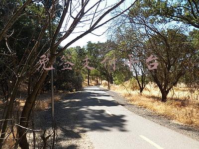 免签支付平台违法(用户可选择关闭小额免密免签业务)