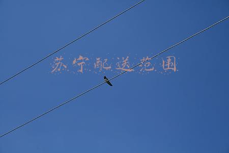 苏宁配送范围