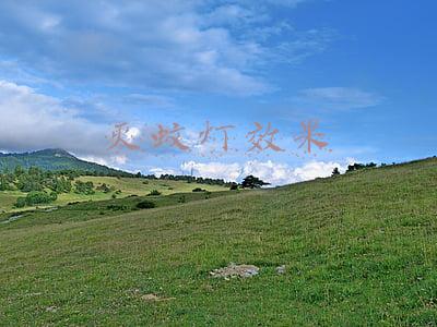 灭蚊灯效果