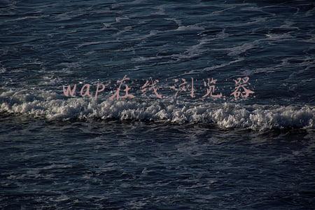 wap浏览器手机版(支持各种 \u0026#34;扩展插件\u0026#34; 的安卓浏览器)