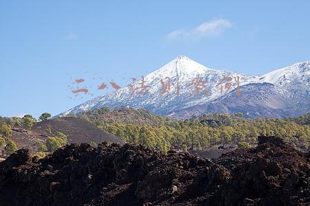 二八法则案例