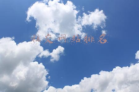商务社交网站排名(「榜单」12月AppStore中国免费榜(社交)TOP99：小红书稳居前三)