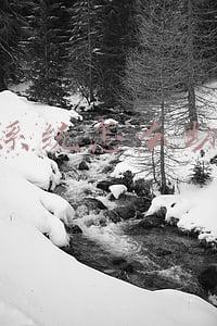 电脑双系统怎么切换(双系统怎么切换)