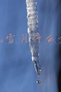 风花雪月什么意思