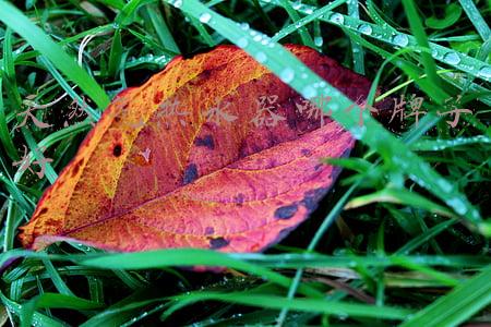 天然气热水器哪个牌子好