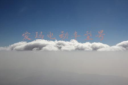 爱玛电动车型号