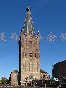 电鳗为什么会放电