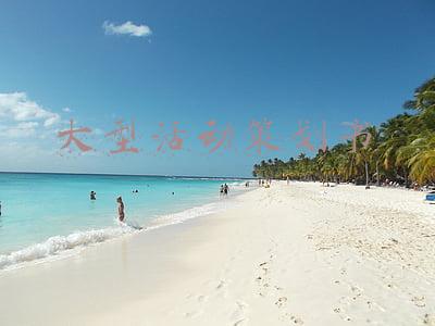 大型活动策划书