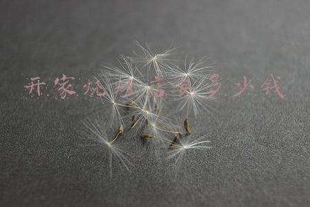 一个烧烤店的成本大概需要多少钱（开一家烧烤店要多少钱）