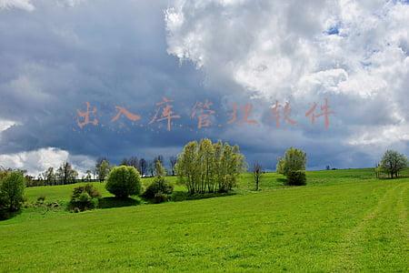 出入库管理软件有哪些(常见的ERP仓库管理系统有哪些差别？仓库行业管理软件介绍)