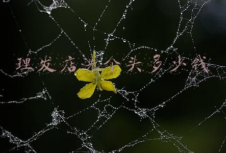 理发店洗个头发多少钱《理发店洗头大概多少钱》