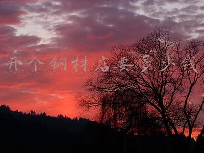 开个钢材店要多少钱