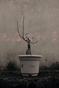 开一家干洗店需要多少费用：开一家连锁干洗店需要多少钱