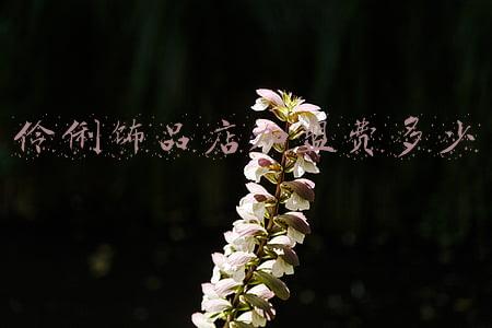 伶俐饰品店加盟官网《伶俐饰品店加盟官网电话》