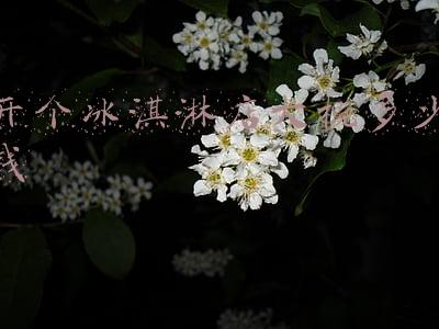 彩虹冰淇淋店-彩虹冰淇淋店游戏下载